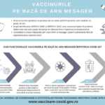 Rumänische Regierung Wie RNA-basierte Impfstoffe funktionieren Grafikbotschafter