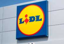 LIDL Romania start