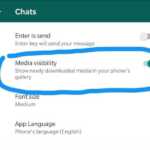 WhatsApp util salvari android