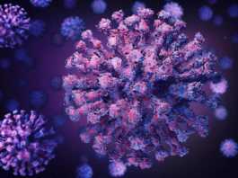 Coronavirus Romania Noile Cazuri Vindecari 5 Ianuarie