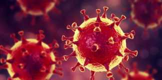 Coronavirus Rumænien Nye tilfælde fra 20. januar 2021