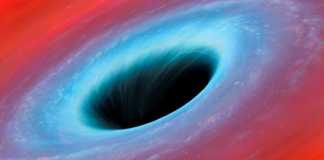 Black hole worm hole