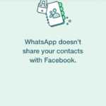 WhatsApp informari contacte