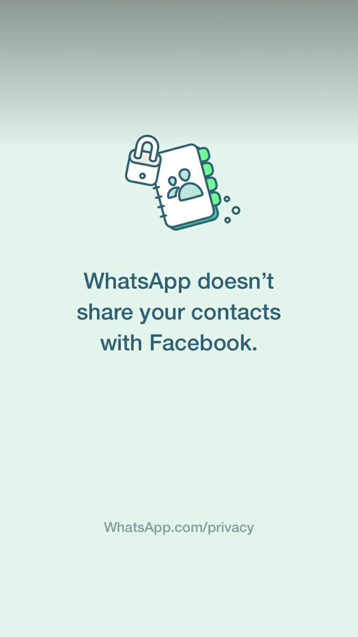 Contatti informativi WhatsApp