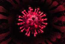coronavirus vaccinari romania 13 ianuarie 2021