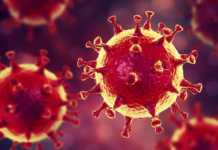 Coronavirus Romania Noile Cazuri Vindecari 19 Februarie