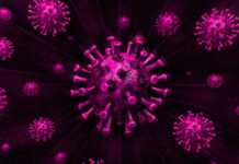 Coronavirus Romania Increase in Cases March 13