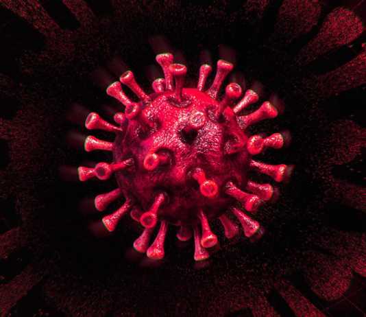 Coronavirus Romania Noua Crestere URIASA Cazuri 24 Martie