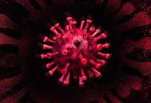 Coronavirus Romania: Numar Mare de Cazuri Noi pe 31 Martie 2021 Coronavirus Romania Numar Mare Cazuri Noi 31 Martie