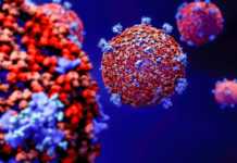 Numar Mare de Vaccinari Impotriva Coronavirus in Ultimele 24 de Ore