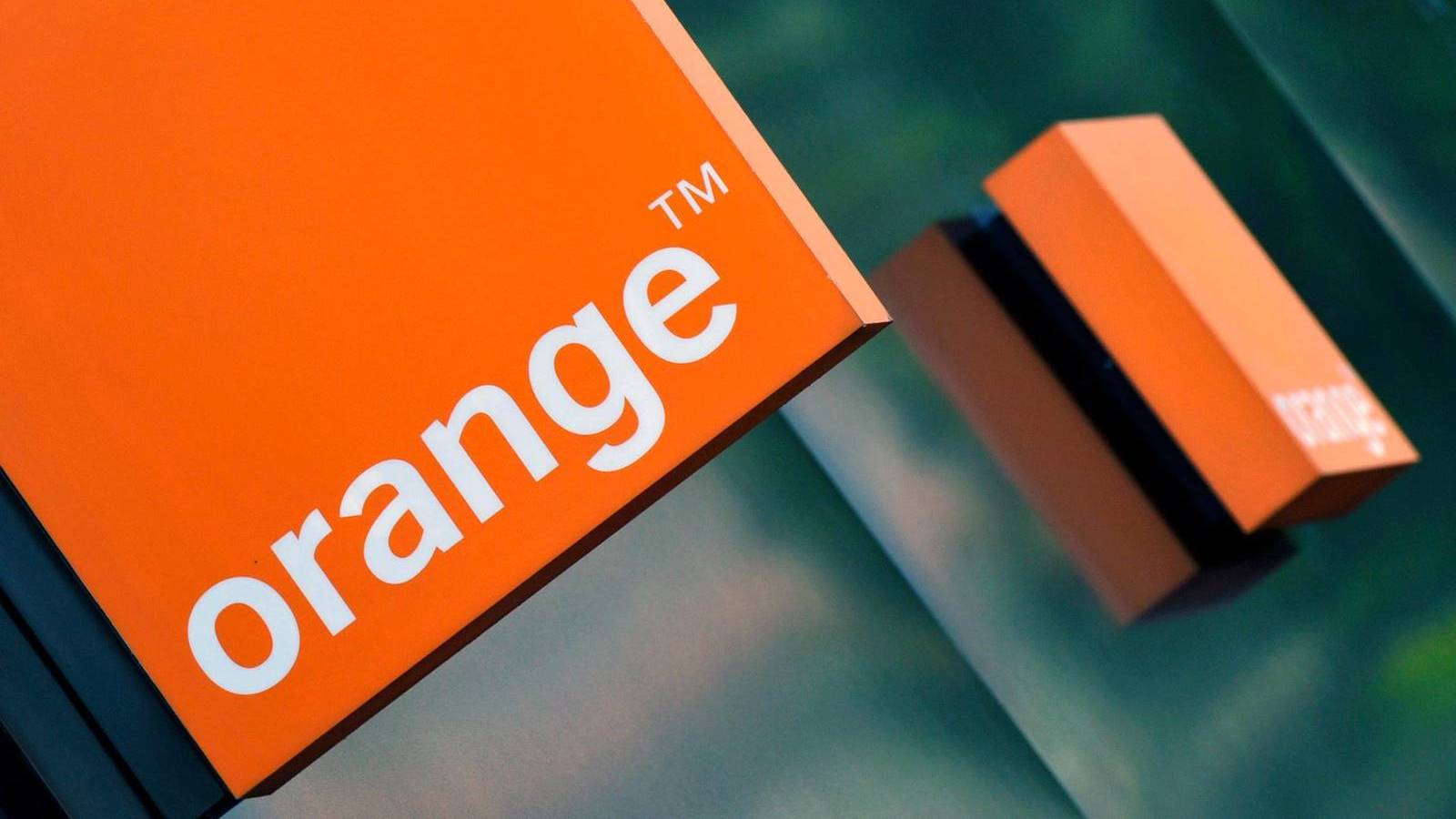 Appréciation de l'orange