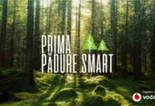 Vodafone Padure Inteligenta Romania