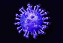 Coronavirus Romania Large Number of Cases April 1