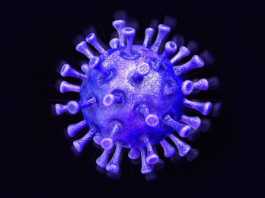Coronavirus Rumänien Stort antal fall 1 april