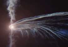 Gaura Neagra dezintegrare