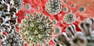 Coronavirus Rumänien Nytt antal nya fall 8 juni 2021