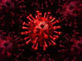Coronavirus Romania Noul Numar de Cazuri Noi in 2 Iunie 2021