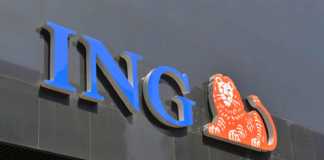 ING Bank-Logins