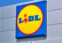 LIDL Romania vacante