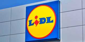 LIDL Romania vacante