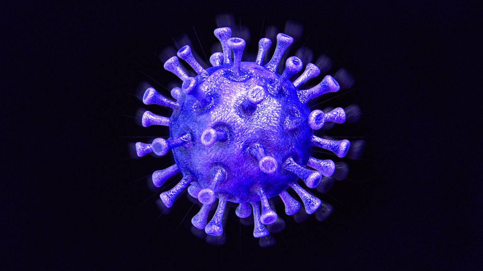 Coronavirus Informari miocardita pericardita