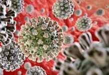 Coronavirus Romania Noul Numar Oficial de Cazuri din 10 Iulie 2021