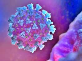 Coronavirus Romania Numarul de Cazuri Noi din 1 Iulie 2021