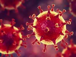 Coronavirus Delta ansteckende Variante Ebola gleich Windpocken