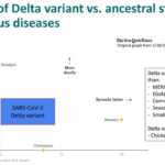 Coronavirus Variant Delta Contagious Ebola Equal Varicella -taulukko