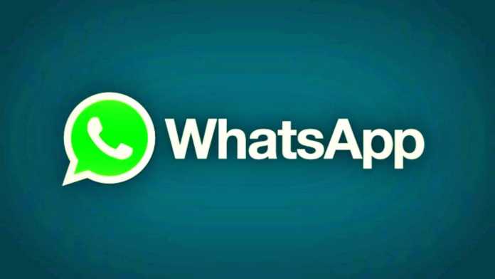 WhatsApp director WhatsApp director