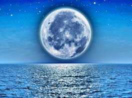 luna oxigen