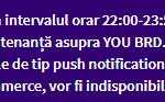 BRD Romania lucrari you brd