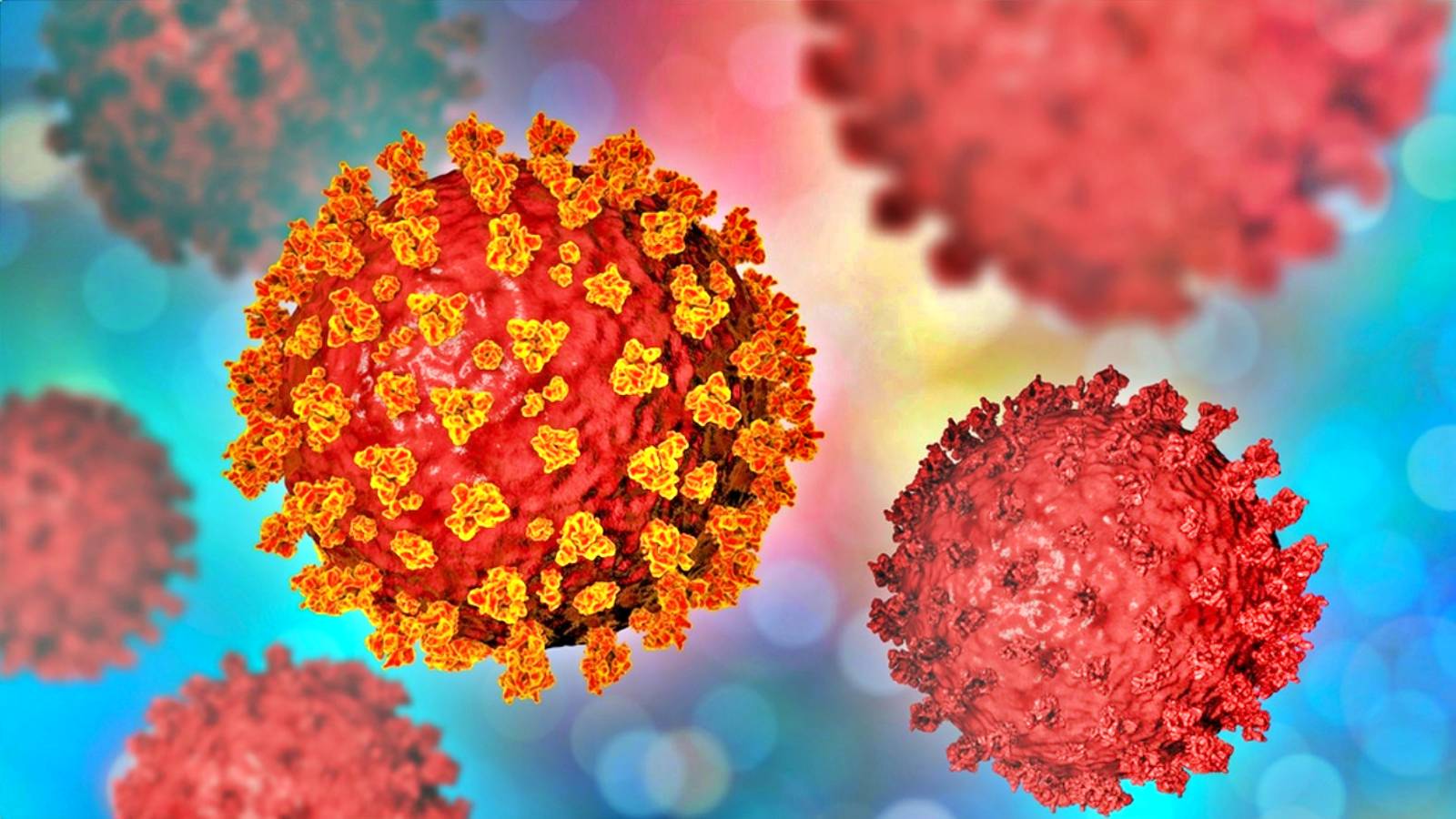 Enorme aumento settimanale del numero di nuovi casi di coronavirus