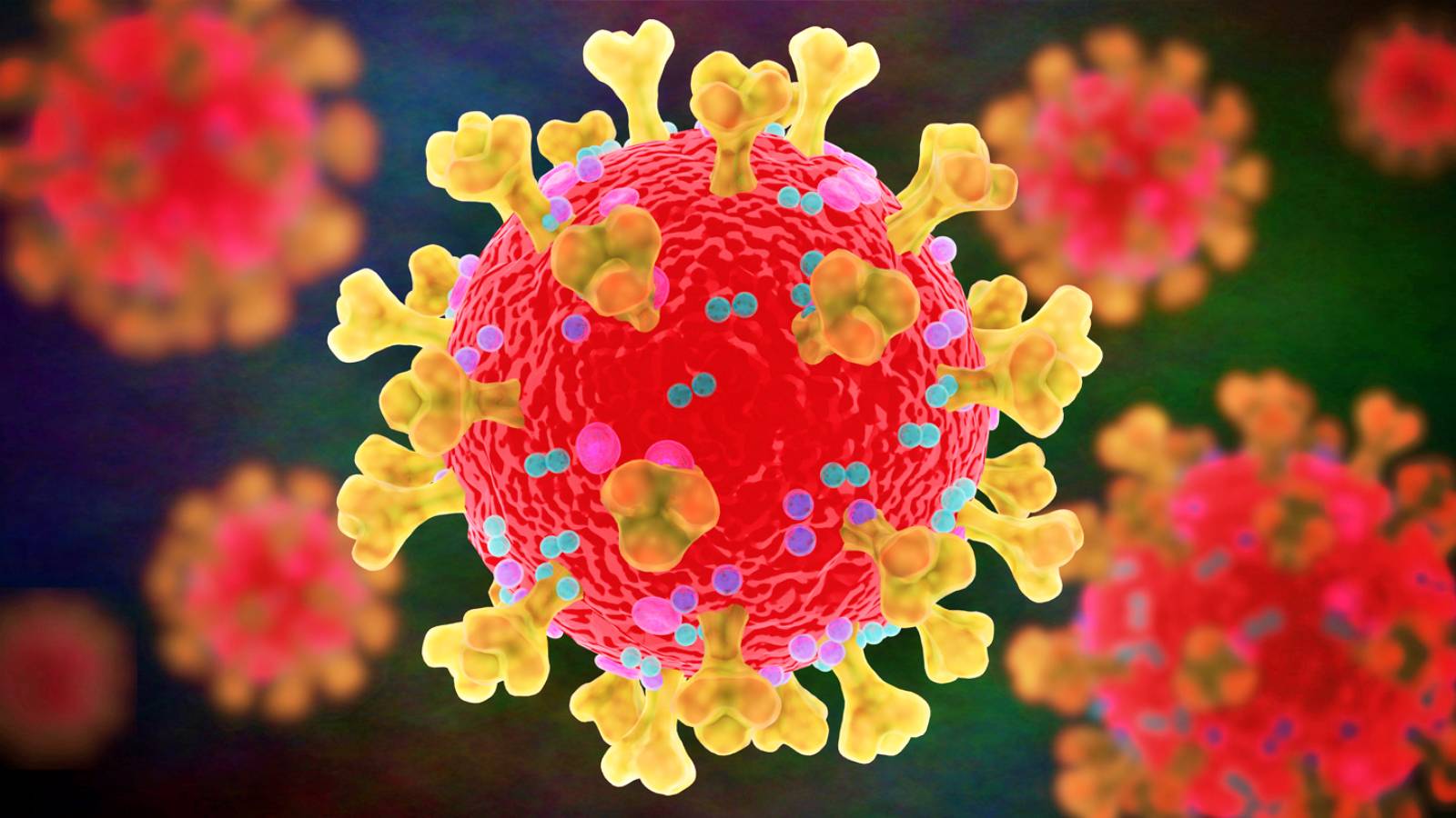 Coronavirus Rumænien Stort antal nye tilfælde den 16. august 2021