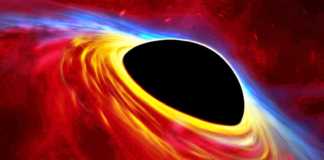 Electron Black Hole