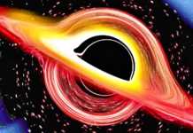 Gaura Neagra singularitate