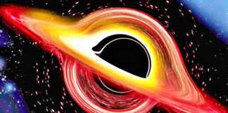 Black hole singularity