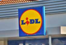 LIDL Romania nordic