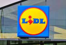 LIDL Romania scoala