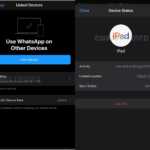 WhatsApp paired ipad