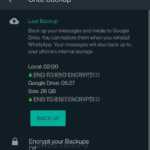 WhatsApp local criptare