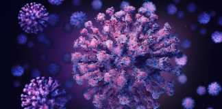 Coronavirus Imagini Plamanii Afectati Formele Severe