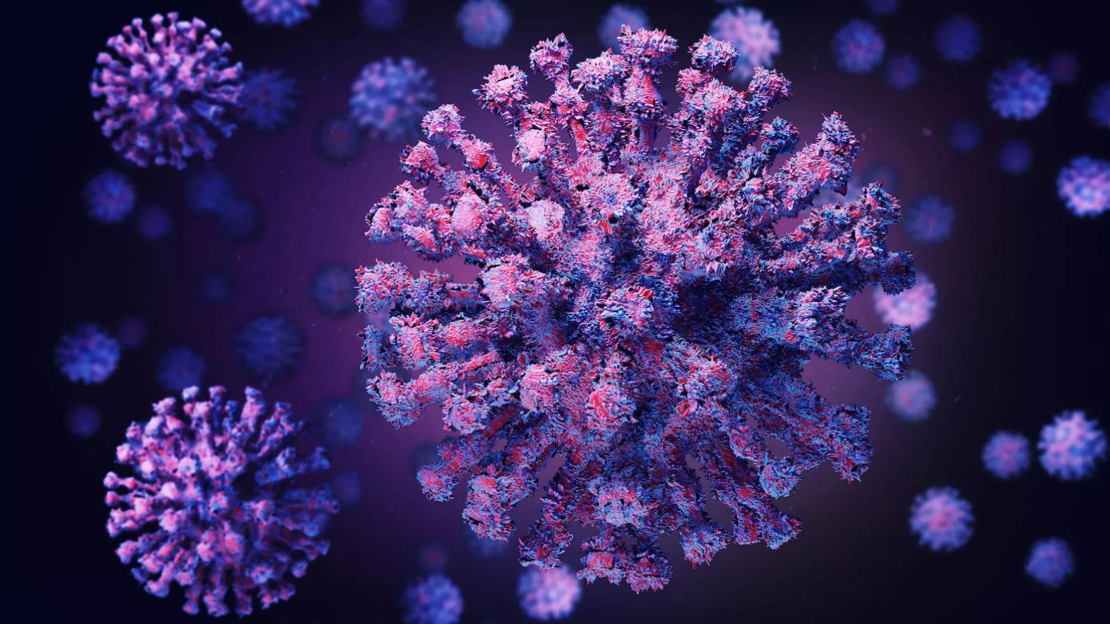 Coronavirus Images Lungs Affected Severe Forms