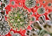 Coronavirus Romania Crestere Fulminanta a Cazurilor Noi in 15 Septembrie 2021