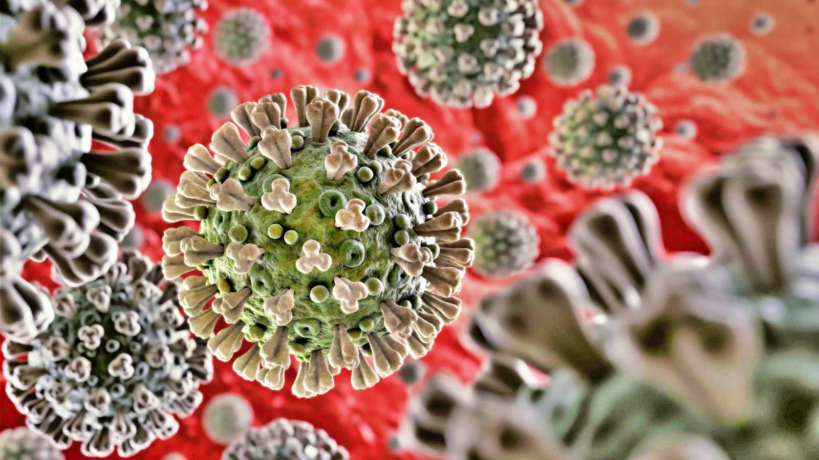 Coronavirus Romania Sudden Increase in New Cases on September 15, 2021