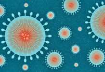 Coronavirus Romania Explozie de Cazuri Noi pe 29 Septembrie 2021