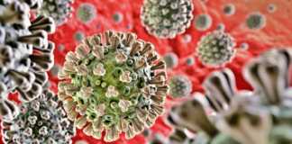 Coronavirus Romania Numarul Mare de Noi Cazuri din 30 Septembrie 2021
