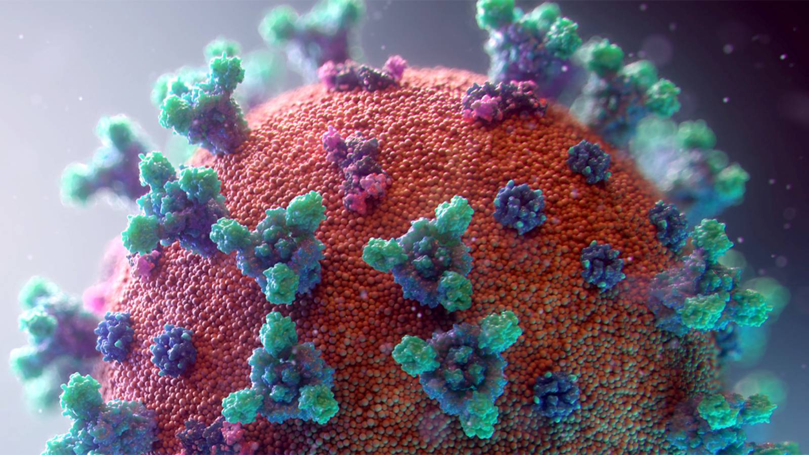 Die Delta-Variante des Coronavirus verändert die Theorie der Herdenimmunität
