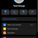 WhatsApp sectiune informatii grup