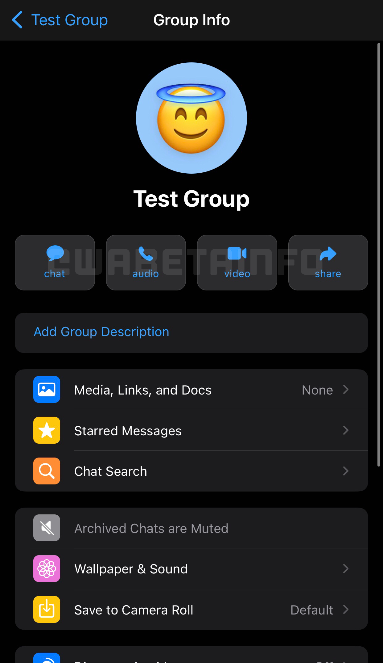 WhatsApp group information section